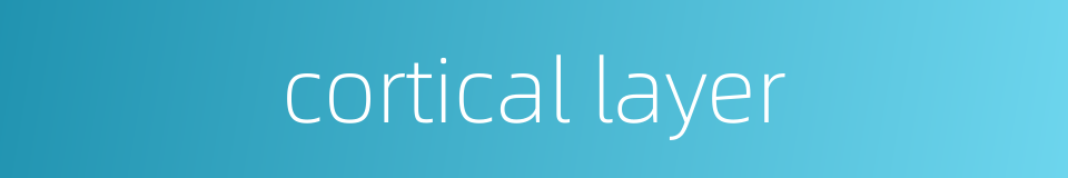cortical layer的同义词
