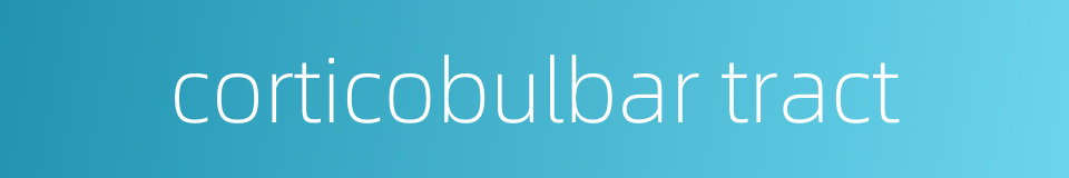corticobulbar tract的同义词