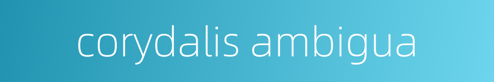corydalis ambigua的同义词