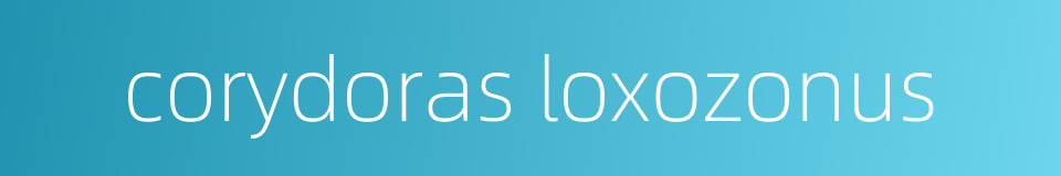 corydoras loxozonus的同义词
