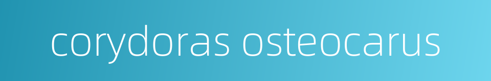 corydoras osteocarus的同义词