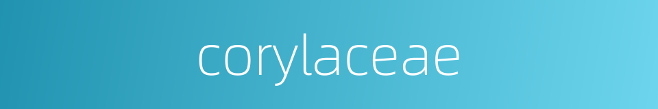 corylaceae的同义词