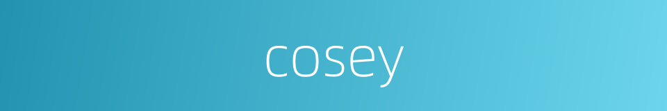 cosey的同义词