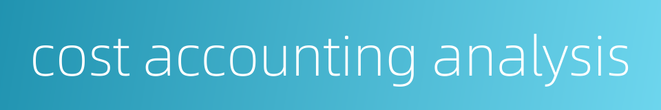cost accounting analysis的同义词