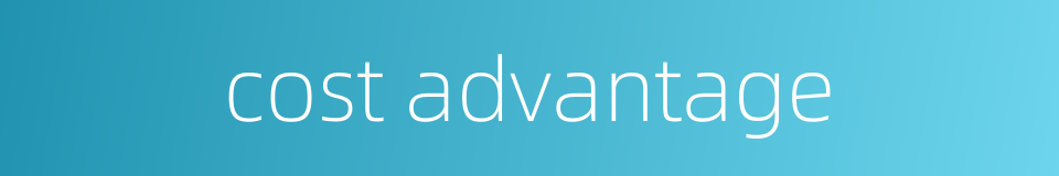 cost advantage的同义词