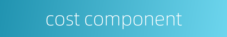cost component的同义词