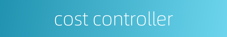 cost controller的同义词