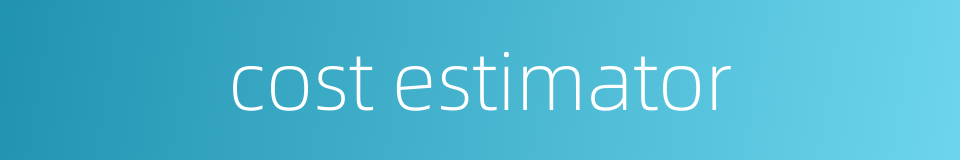 cost estimator的同义词