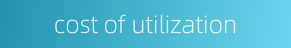 cost of utilization的同义词