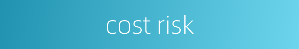 cost risk的同义词