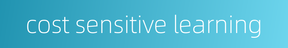 cost sensitive learning的同义词