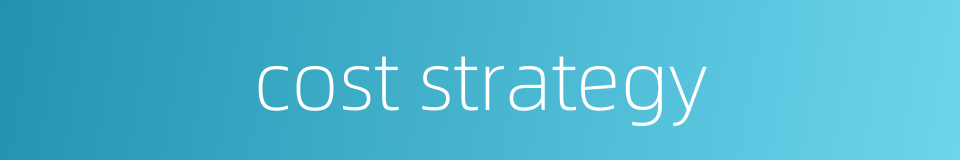 cost strategy的同义词
