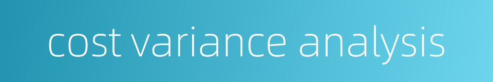 cost variance analysis的同义词