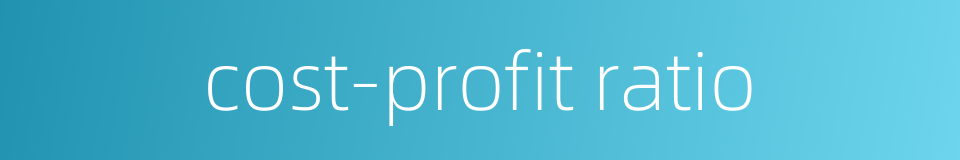 cost-profit ratio的同义词