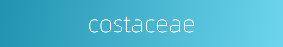 costaceae的同义词