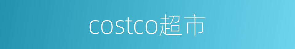 costco超市的同义词