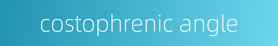 costophrenic angle的同义词