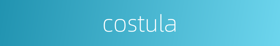 costula的同义词