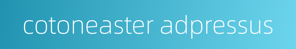 cotoneaster adpressus的同义词