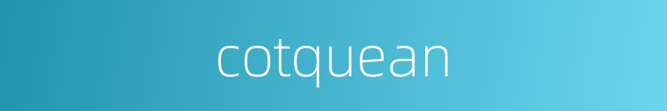 cotquean的同义词