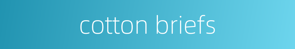 cotton briefs的同义词