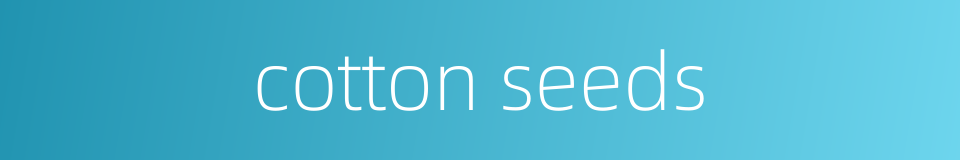 cotton seeds的同义词