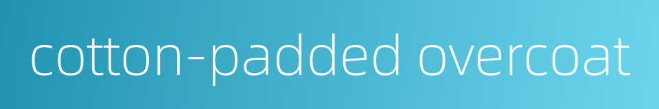 cotton-padded overcoat的同义词