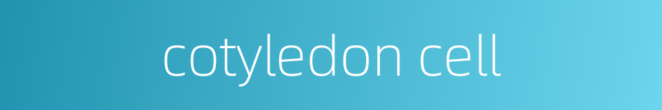 cotyledon cell的同义词