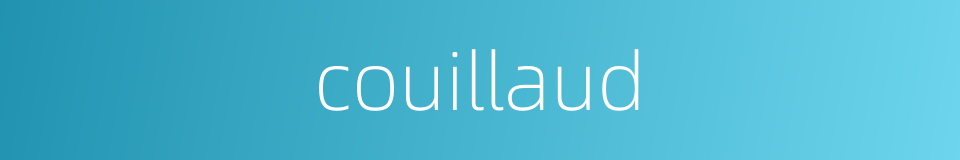 couillaud的同义词