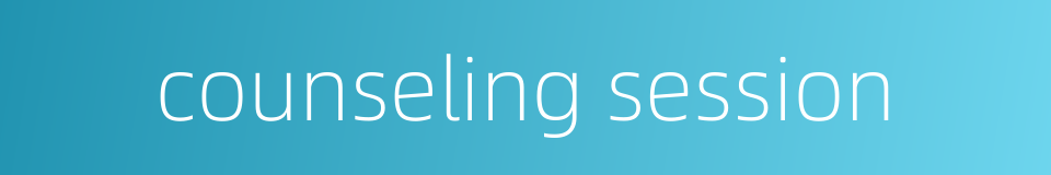 counseling session的同义词
