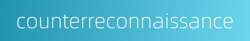 counterreconnaissance的同义词