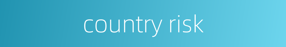 country risk的同义词