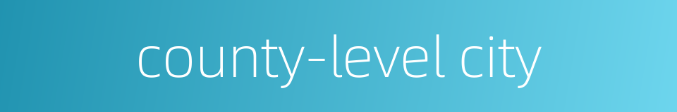 county-level city的同义词