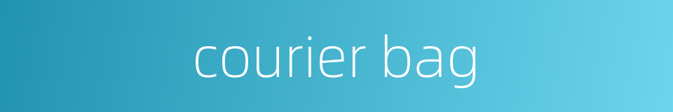 courier bag的同义词