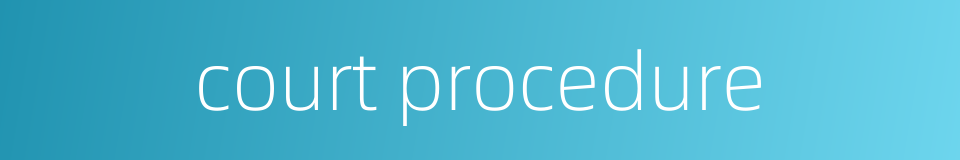 court procedure的同义词