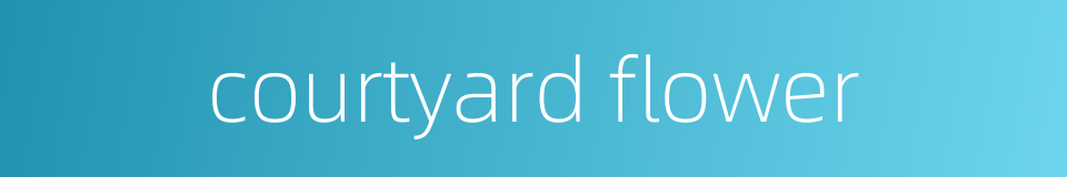 courtyard flower的同义词
