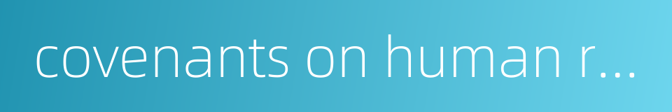covenants on human rights的同义词