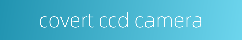 covert ccd camera的同义词