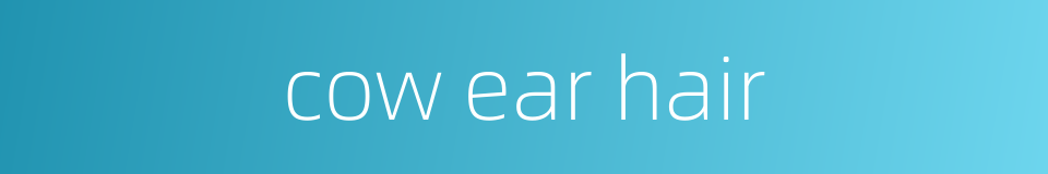 cow ear hair的同义词