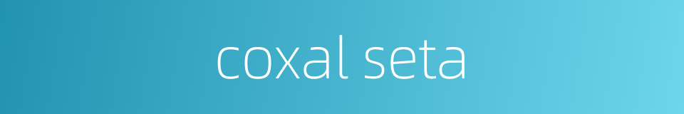 coxal seta的同义词