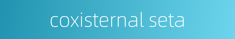 coxisternal seta的同义词