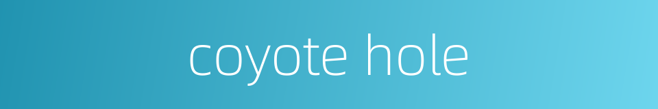 coyote hole的同义词