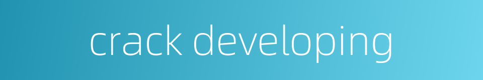 crack developing的同义词