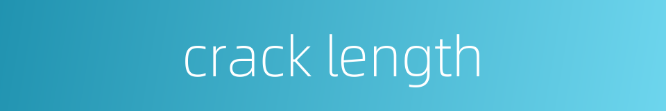 crack length的同义词