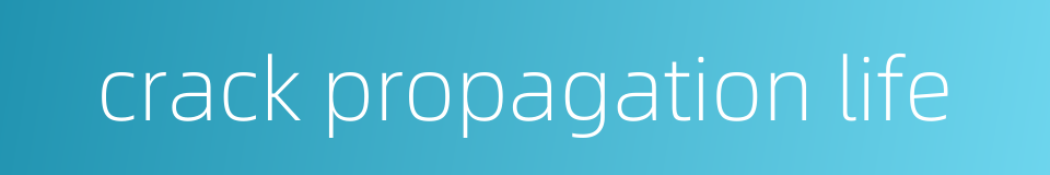 crack propagation life的同义词