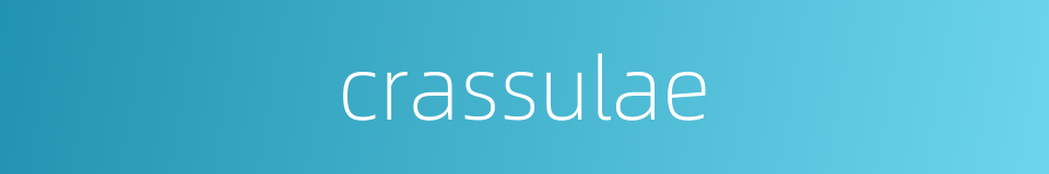 crassulae的同义词