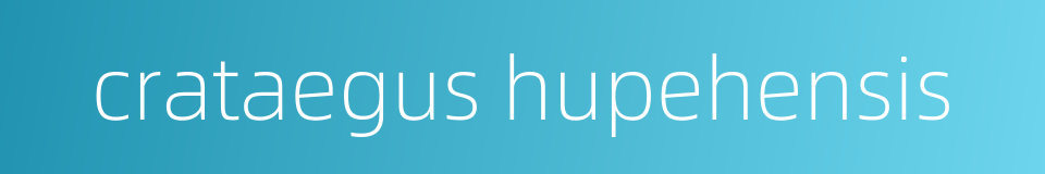crataegus hupehensis的同义词