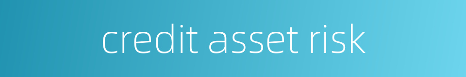 credit asset risk的同义词