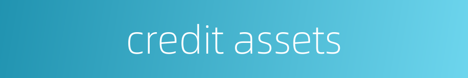 credit assets的同义词