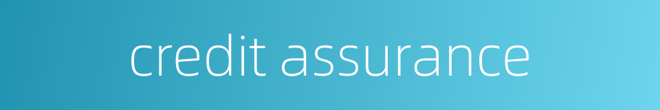 credit assurance的同义词